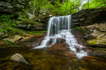 B. Reynold's Falls, at Ricketts Glen State Park, Pennsylvania.