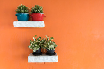 tree with flowerpot on wall