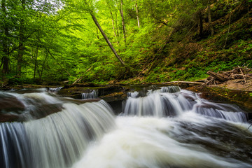 Cascades on Kitchen Creek in Ricketts Glen State Park, Pennsylvania.