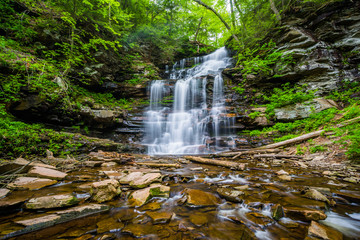 Fototapeta na wymiar Ganoga Falls, at Ricketts Glen State Park, Pennsylvania.