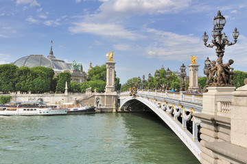 Fototapeta na wymiar pont Alexandre III traversant la Seine à Paris