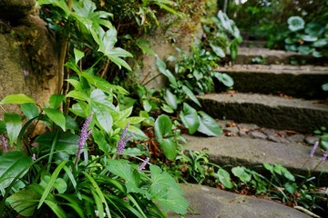 緑の庭園
