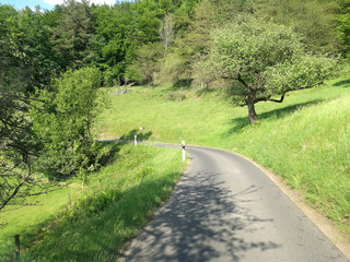Eine schmale kurvige Straße in grüner Landschaft im Mittelgebirge von Deutschland