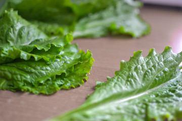 lettuce on the table