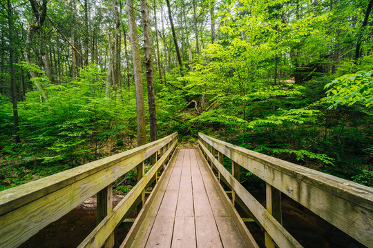 Wooden bridge on a trail in Ricketts Glen State Park, Pennsylvania.
