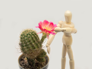 The puppets are taking care of the red flowers. White background (isolate)