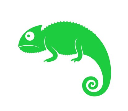 Green chameleon. Abstract chameleon on white background