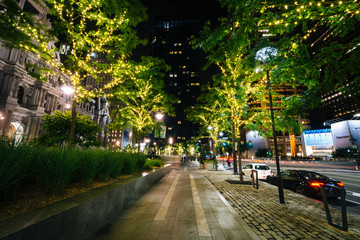 Trees with lights and a walkway at night, at Dilworth Park in the Center City of Philadelphia, Pennsylvania.