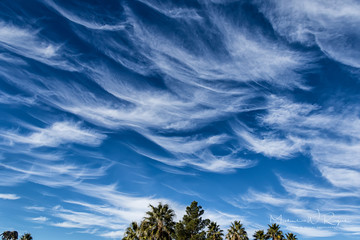 Ice Crystals (Cirrus Clouds) Las Vegas