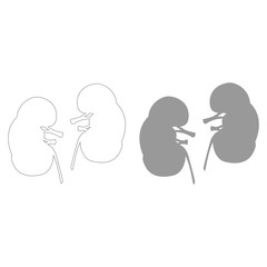 Kidney  the grey color icon .