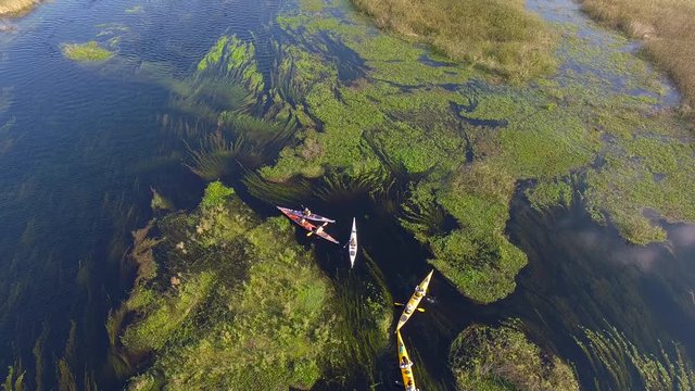 Tourists canoeing in Ibera Wetlands, Corrientes Province, Argentina