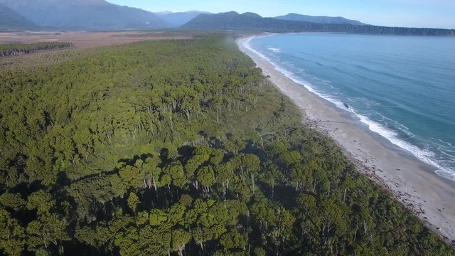 Aerial view of Bruce Bay with forest and sandy beach, New Zealand