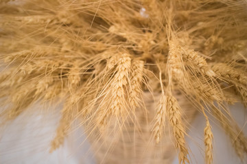 Barley dry texture decoration