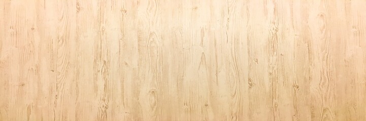 White Organic Wood Texture. Light Wooden Background. Old Washed Wood