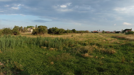 Fototapeta na wymiar Rural landscape by Castellon in the Valencian community