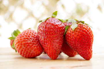 fresas rojas