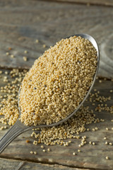 Raw Organic White Poppy Seeds