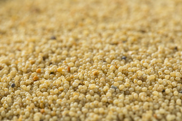 Raw Organic White Poppy Seeds