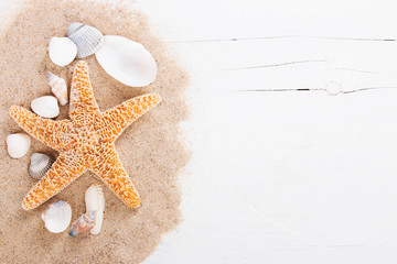 Muscheln, Seestern auf weißem Holzbrett