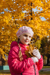 Adorable little girl in autumn park with leaves, collecting autumn bouquets of colorful fallen foliage, Autumn composition, bouquet of brightly colored red orange and yellow maple leaf