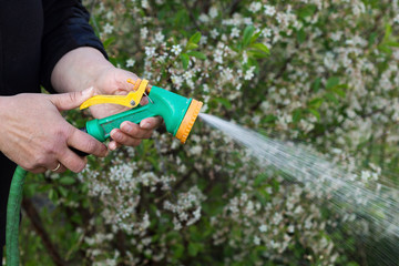 female hands holding a garden hose with running water in the garden