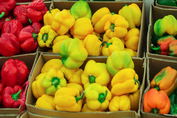 Bulgarian pepper of different varieties in the boxes on the market