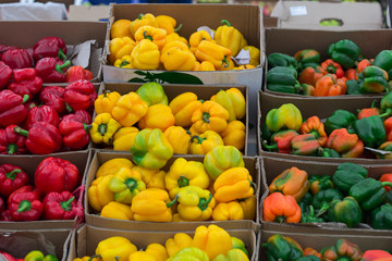 Bulgarian pepper of different varieties in the boxes on the market
