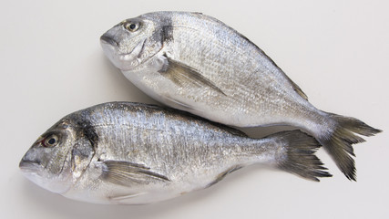 Dorado, sparus, bream fish, mediterranean diet