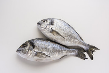 Dorado, sparus, bream fish, mediterranean diet