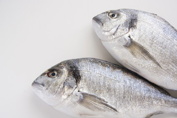 Dorado, sparus, bream fish, mediterranean diet