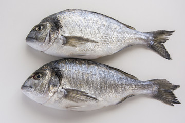 Dorado, sparus, bream fish, mediterranean diet