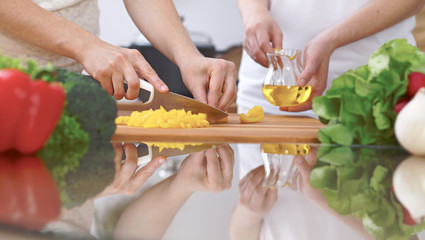 Close-up of four human hands are cooking in a kitchen. Friends having fun while preparing fresh...