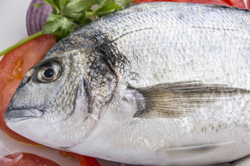 Dorado fish mediterranean recipes