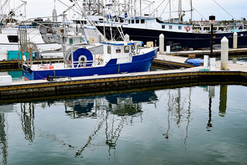 Fishing Boats on the San Diego Waterfront