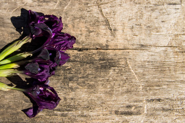 Purple iris flowers on wooden background with copy space