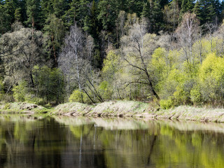 summer landscape of river