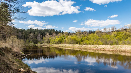 summer landscape of river
