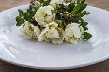 wild white rose flowers on white plate