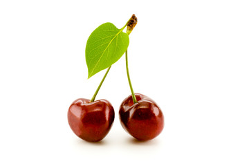 Red cherry on white background