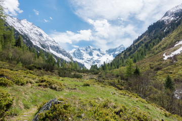 Fototapeta na wymiar Berglandschaft in Österreich