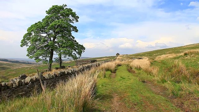 Northumberland uk