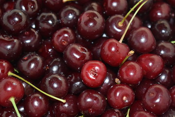 cherry