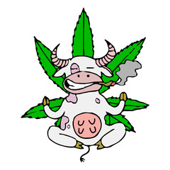 Cow smokes cannabis and meditating. A funny cartoon cow is sitting in the Lotus position of yoga. Vector isolated image. Flat poster.