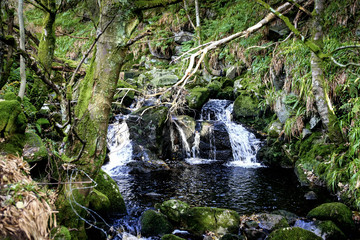 A small waterfall in the Wicklow mountains of Eire in Springtime