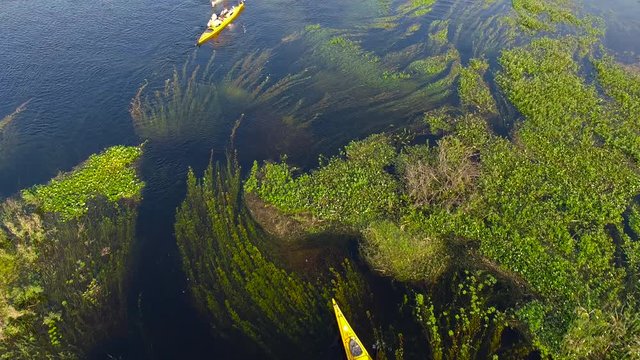 Tourists canoeing in Ibera Wetlands, Corrientes Province, Argentina
