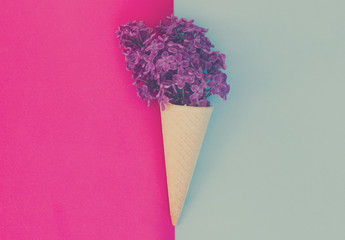 Lilac fresh flowers in cone on pink and blue background, retro toned