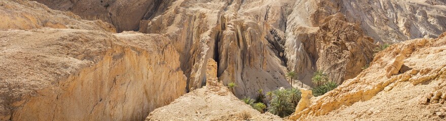 panorama of stone desert with palm oasis in Tunisia