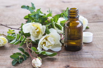 vial with essential oil from wild white rose flowers