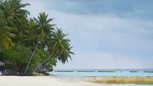 Palm Trees over Pristine Tropical Beach in the Maldives