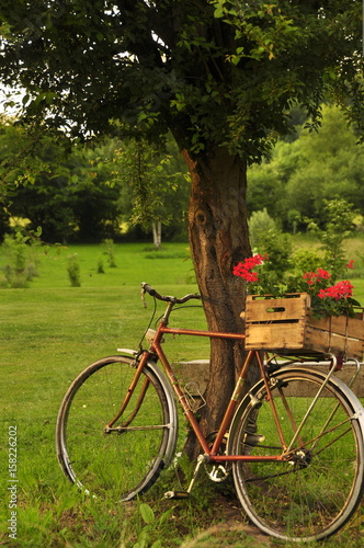 Vieux vélo en décoration de jardin \ Vieux vélo en décoration de jardin \